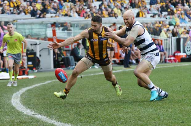 Hawthorn Geelong Ablett