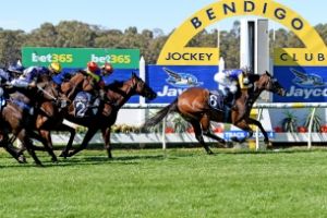 Bendigo Finish