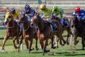 Country Racing