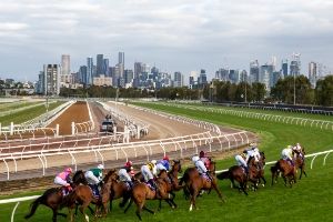 Flemington BackStraight