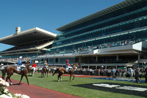 Flemington parade ring