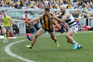 Hawthorn Geelong Ablett