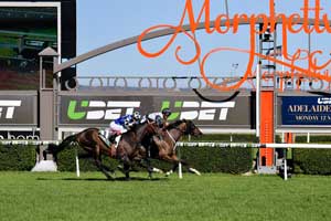 Morphettville Finish