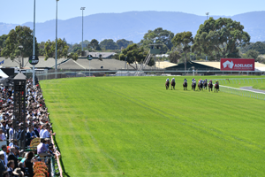 Morphettville Track