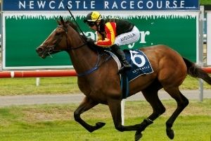 Newcastle Finish