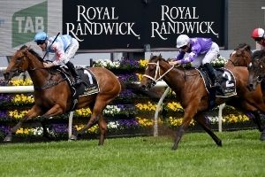 Randwick Finish3