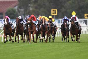 Rosehill Front On