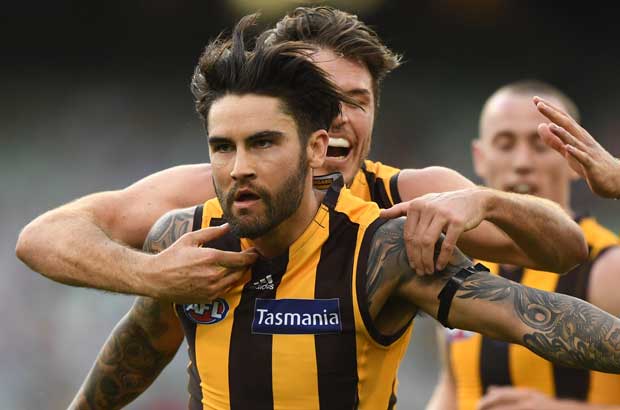 Hawthorn Wingard