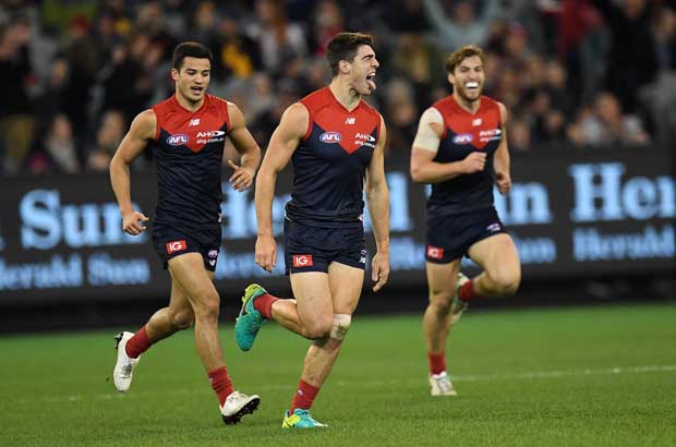 Melbourne Demons Celebrate