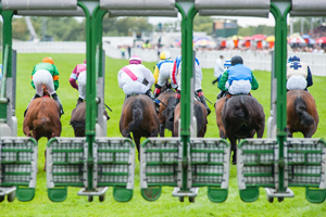 Horse racing barriers 2