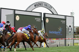 Moonee Valley home straight 240818
