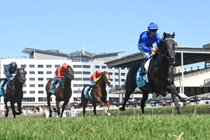 Rosehill Ground 260218