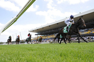Rosehill home straight
