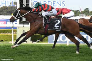 The Autumn Sun Rosehill